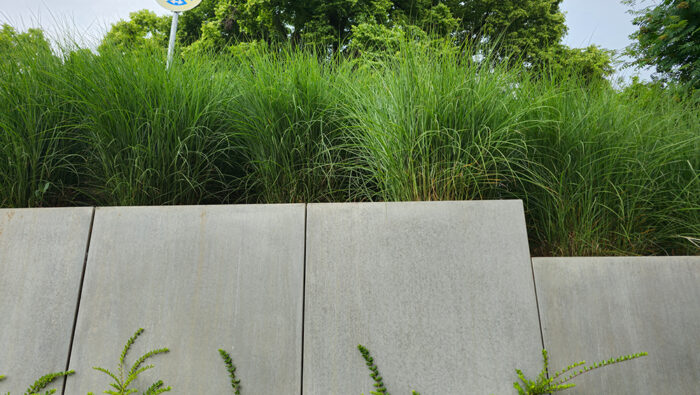 Kaster-Leverkusen-gartenpflege-4-2023